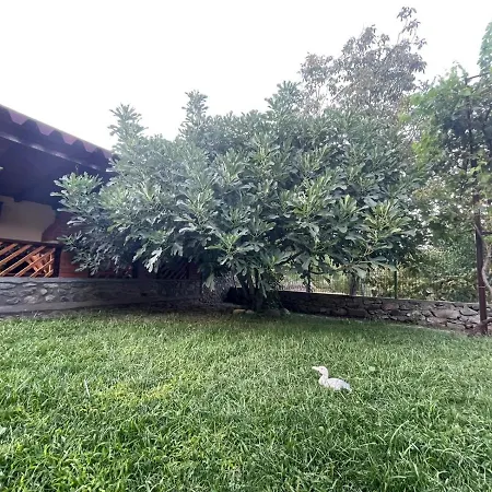 Casa Nirvana *